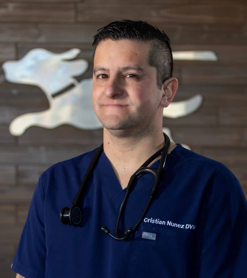 Dr. Nunez photo placeholder